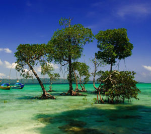 havelock island