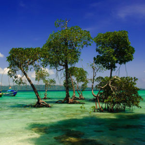 havelock island