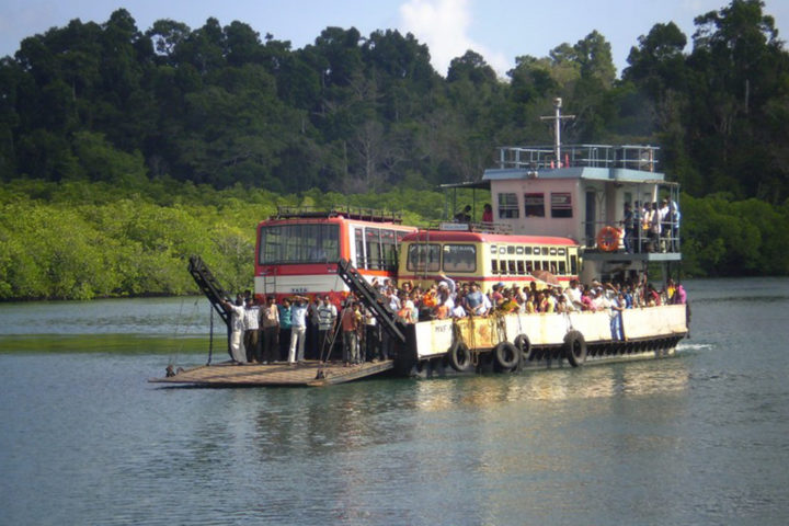 Brilliant Mangrove Forest at Baratang Island