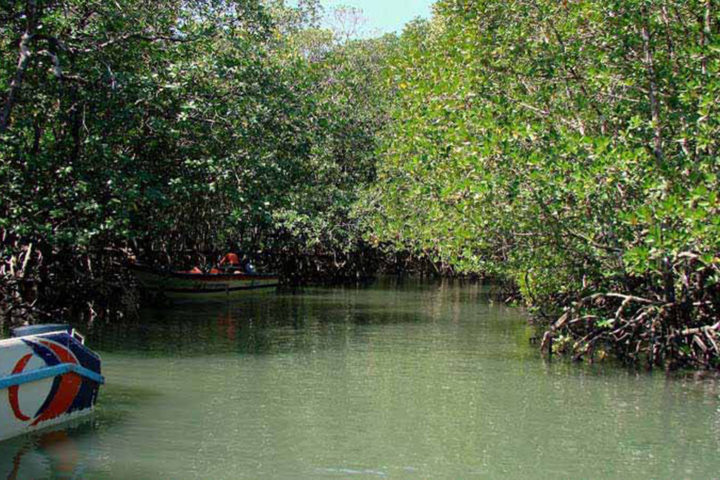 baratang in Andaman