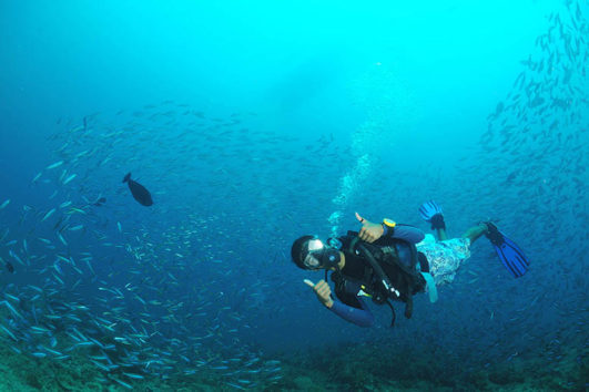 Scuba Diving in the Andaman Sea
