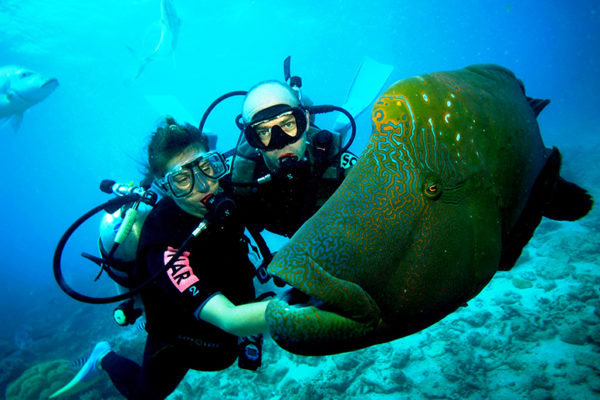 Scuba Divers spots a fish in the Andaman Sea
