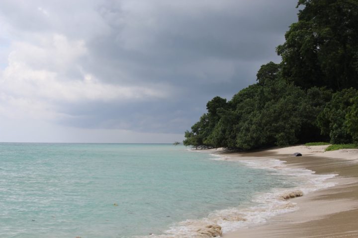 havelock beach