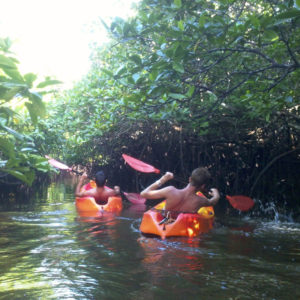 Kayaking in the backwaters if Andaman