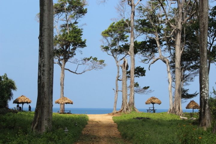 Pearl Park_Beach Resort Neil Island is directly connected to the beach