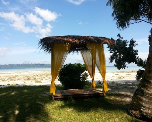 Symphony Palms in Havelock