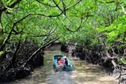 A boat ride in Baratang