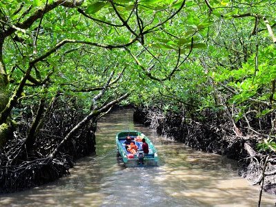 A boat ride in Baratang