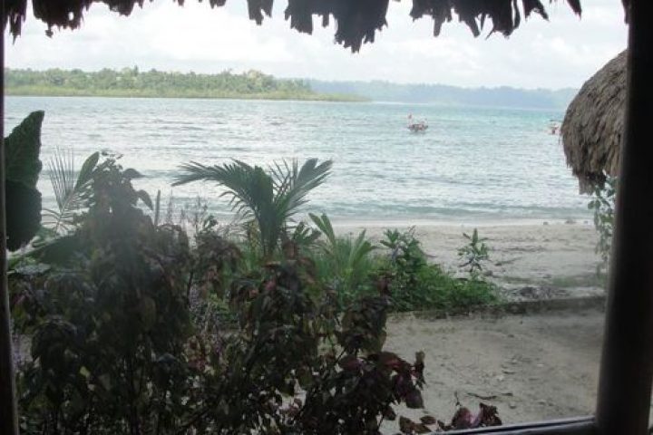 A view from a room at Eco Villa Palm Beach Resort in Havelock