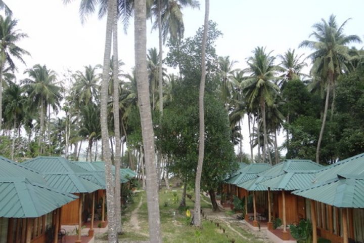 Sands Marina in Havelock