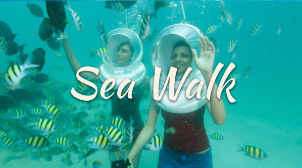 Sea Walk in the Andaman Sea