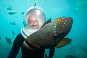 seawalk in the andaman sea