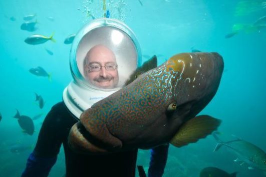 seawalk in the andaman sea