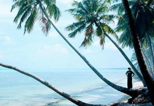 Andaman Tour Packages from Bangalore