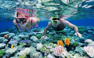 A couple snorkelling and exploring the exotic marine life in the Andaman Sea.