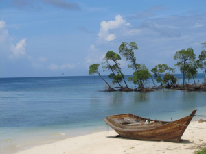 Andaman tour packages from Kolkata